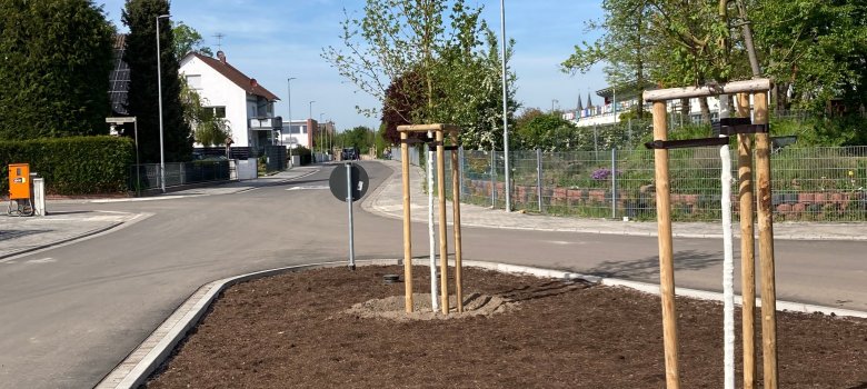 Einhardstraße nach Fertigstellung Einhardstraße nach Fertigstellung