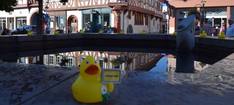 Ente am Marktplatzbrunnen