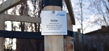 Anlässlich ihrer Goldenen Hochzeit spendeten Ingrid und Dr. Klaus Jost eine Eiche