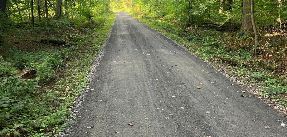 Fertig gestellter Waldweg