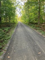 Fertig gestellter Waldweg  Fertig gestellter Waldweg