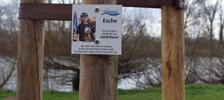 Gedenktafel am Baum Gedenktafel am Baum