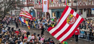 Die "Lappeschwenker" führten den Rosenmontagszug an
