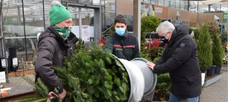 Martin Löwer, Revierförster Herrmann und Bürgermeister Dr. Bastian beim Baum-Einnetzen Martin Löwer, Revierförster Herrmann und Bürgermeister Dr. Bastian beim Baum-Einnetzen