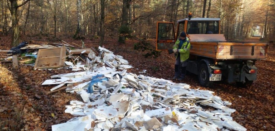 Illegale Müllentsorgung im Stadtwald