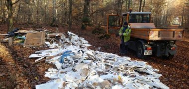 Illegale Müllentsorgung im Stadtwald Illegale Müllentsorgung im Stadtwald