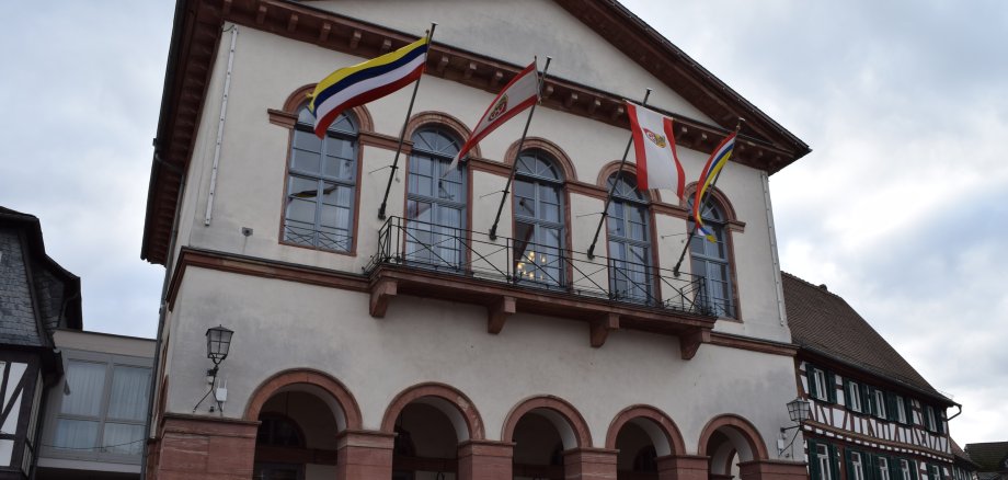 Rathaus mit Fastnachtsfahnen