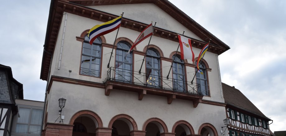 Rathaus mit Fastnachtsfahnen
