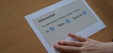 Stimmzettel bezüglich des Hundetages im Freibad