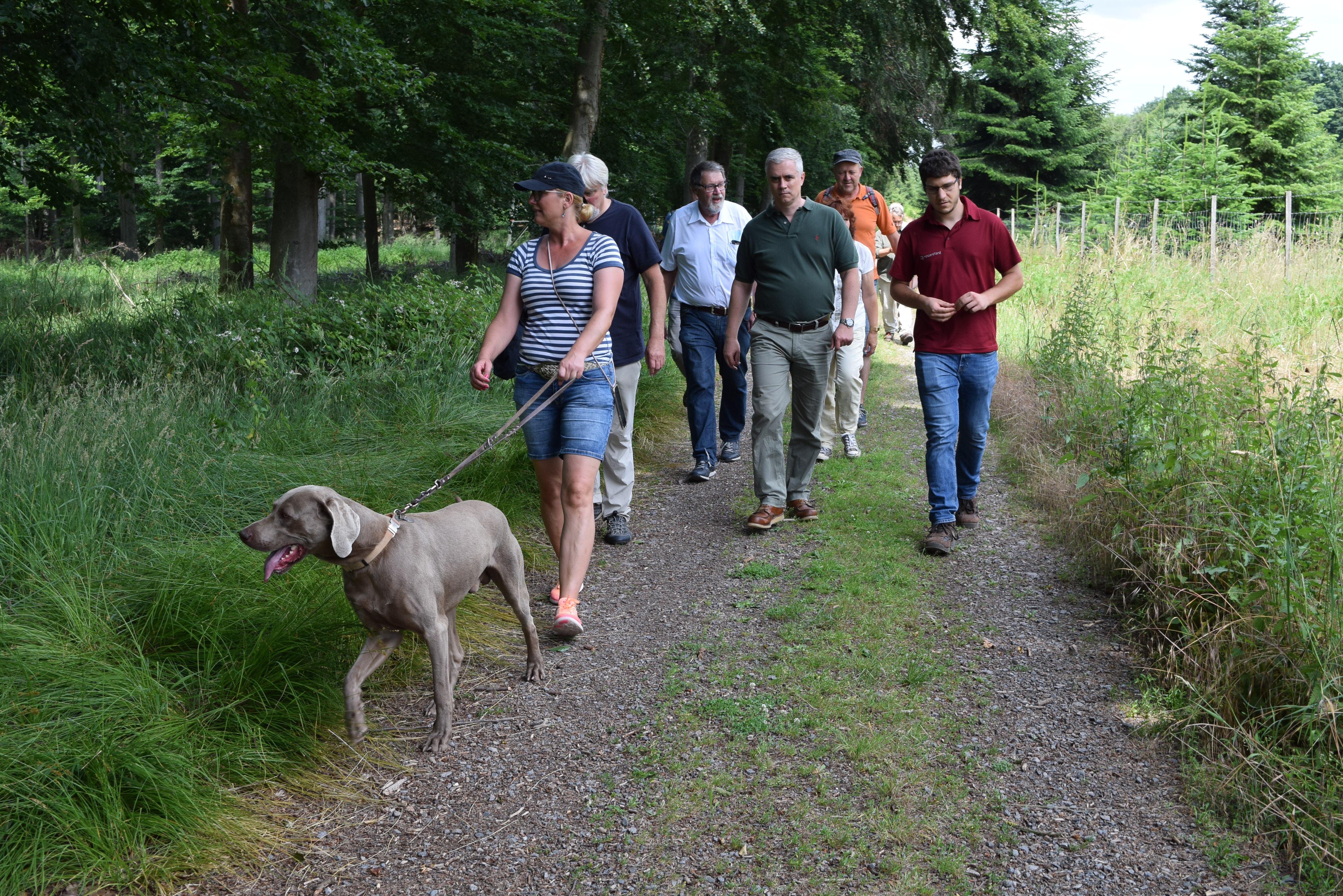 Waldführung "Auf dem Holzweg" Waldführung "Auf dem Holzweg"