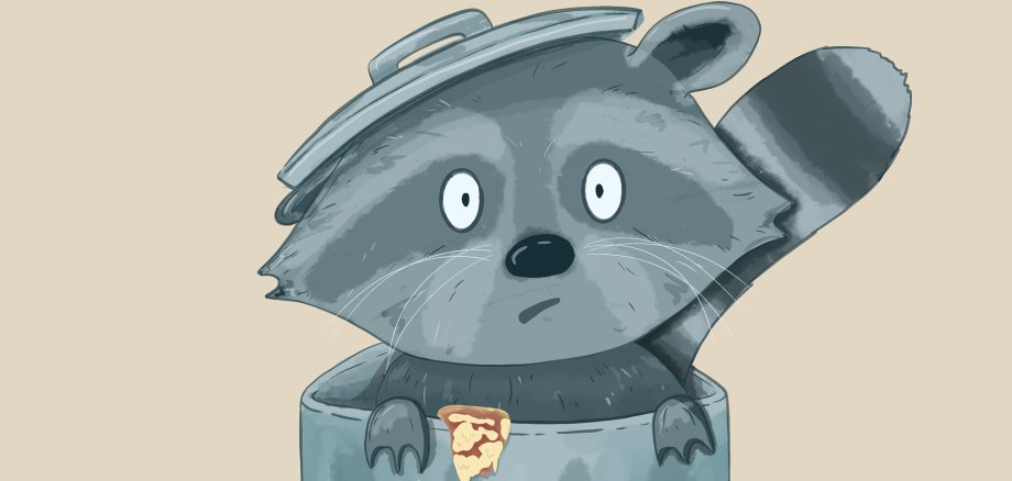 Waschbär