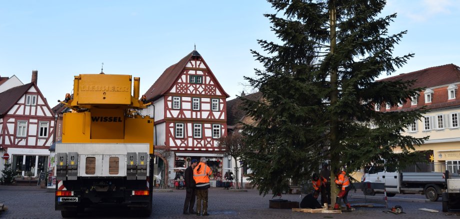 Weihnachtsbaum 2018