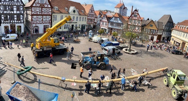 Der Zunft- und Handwerkerbaum wird aufgestellt