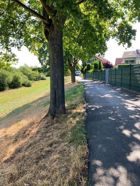 Die Bauarbeiten beginnen am 10. Februar