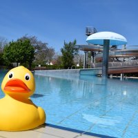 Nichtschwimmerbecken mit Badeente