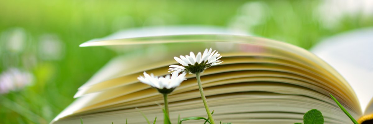Buch