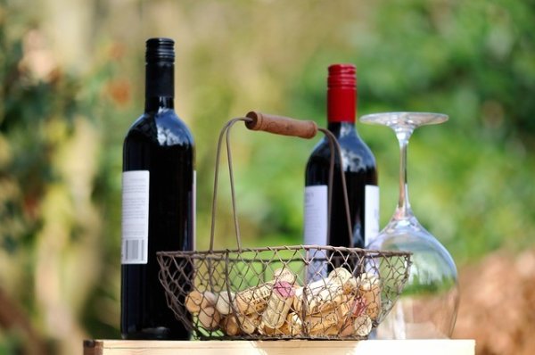 Test_Wein.jpg