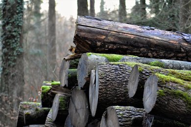 Holzstapel Holzstapel