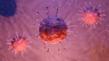 Coronavirus_2 Coronavirus_2